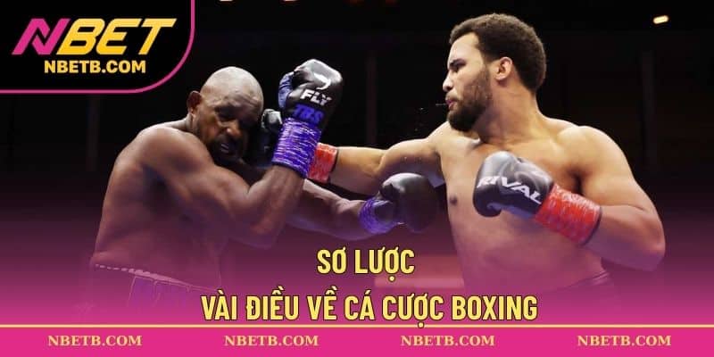 Sơ lược vài điều về cá cược boxing